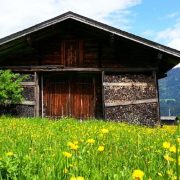 Holzhütte mit Blumenwiese in St. Johann in Tirol