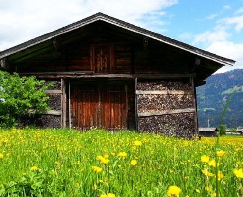 Holzhütte mit Blumenwiese in St. Johann in Tirol