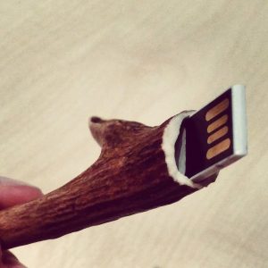 DIY Hirsch USB Stick