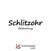 Schlitzohr - Bedeutung