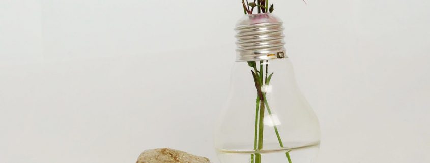 DIY Vase aus Glühbirne