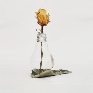 DIY Vase aus einer Glühbirne – Upcycling