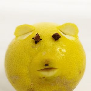 DIY Neujahrsgruß – Schwein aus einer Zitrone basteln