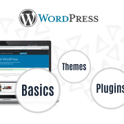 Wordpress Kurs - Pascal Bajorat
