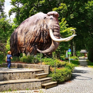 Mammut Museum Siegsdorf
