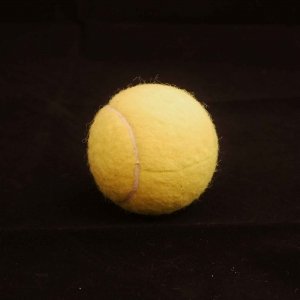 Tennisball Halter