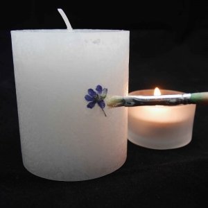 Kerzen mit echten Blüten