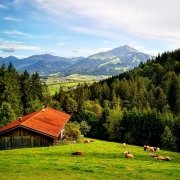 Blick nach St. Johann in Tirol