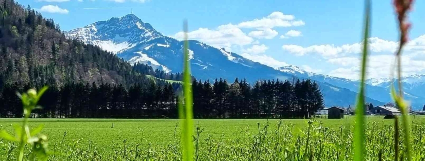 Kitzbüheler Horn in Kirchdorf in Tirol