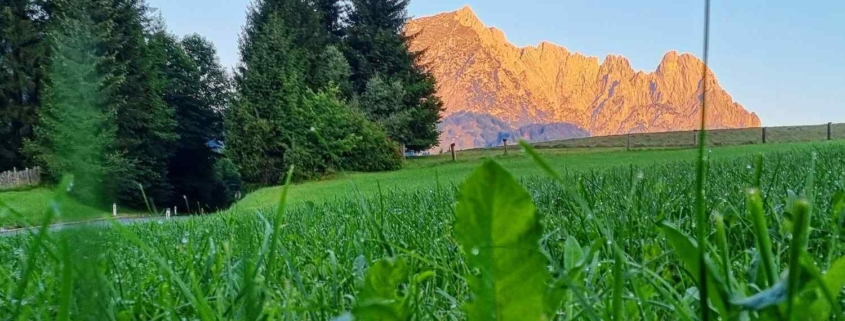 Morgenrot am Wilden Kaiser in Kirchdorf in Tirol