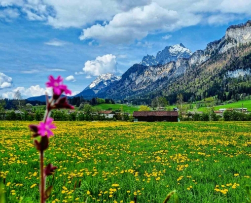 Frühling am Wilden Kaiser in St. Johann in Tirol