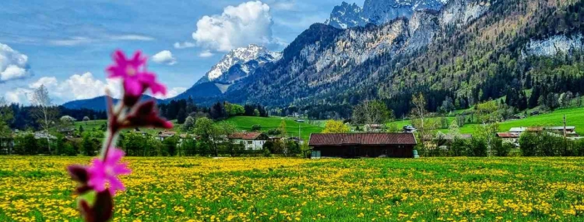 Frühling am Wilden Kaiser in St. Johann in Tirol