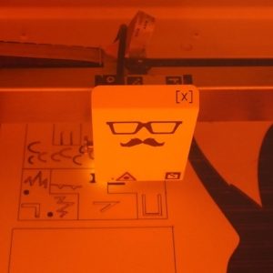 Tier Puzzle